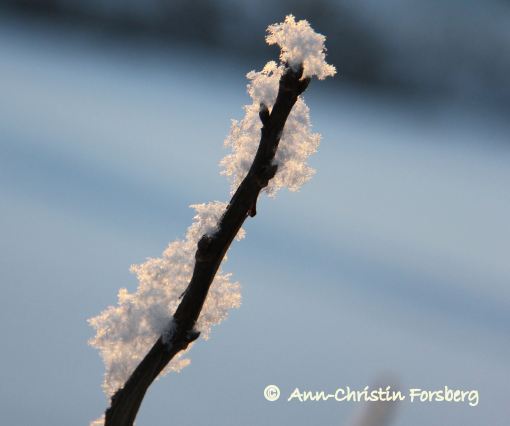 snökristaller